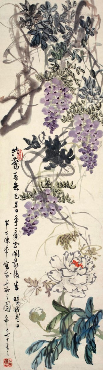 紫藤牡丹图片