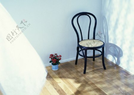 室内花与凳子文艺背景图片