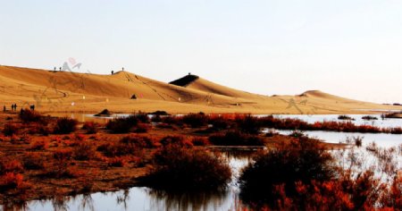 内蒙古八道桥沙漠图片
