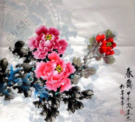 杨建中国画牡丹图片