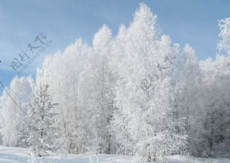 自然风景雪景图片