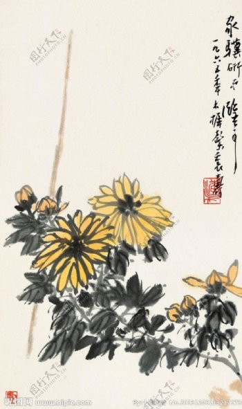 秋菊图图片