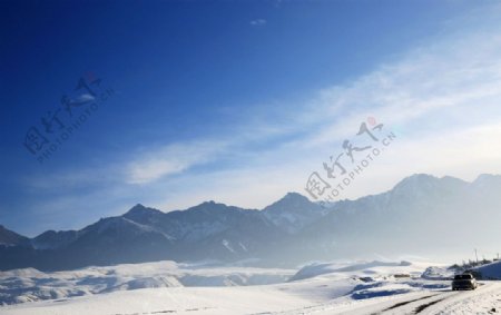 雪中景图片