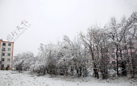 统建楼家前面雪景图片