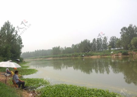 河景图片