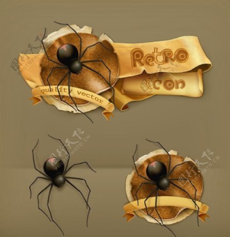 蜘蛛图标标志ICON图片
