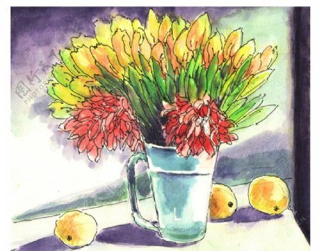 钢笔淡彩瓶花和橙子图片
