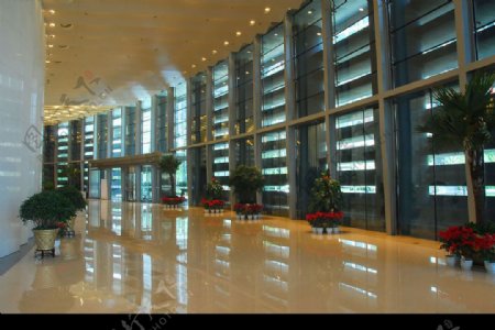 北京中国人寿总部大楼图片