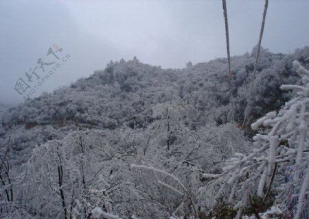 光雾山冬景图片
