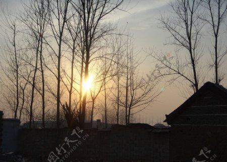夕阳树影村庄图片