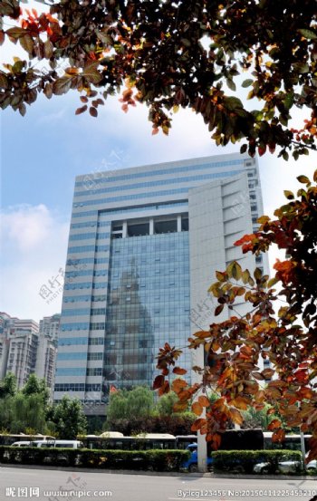 重庆高楼图片