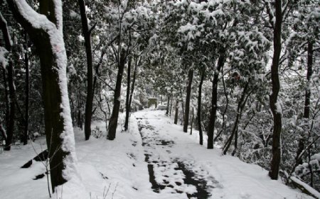 山中雪景图片