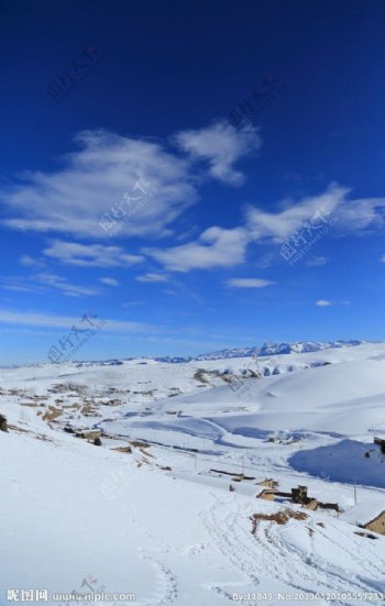 新疆冬日雪景图片