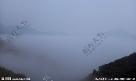 雾海图片