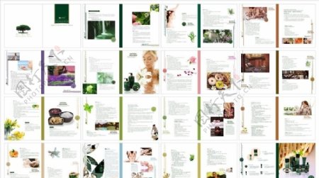 化妆品精油护理品包装手册设计图片