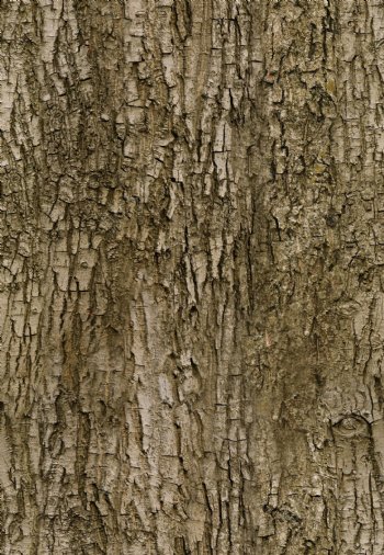 树皮木纹贴图图片
