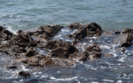 大海中的石头图片