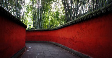 红墙竹林图片