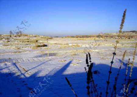 大地与雪图片