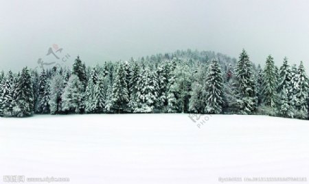 林海雪原图片