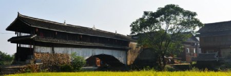 普济桥图片
