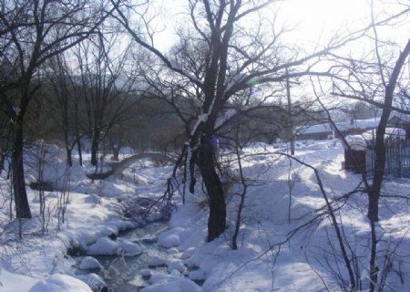 河流小溪风景图片