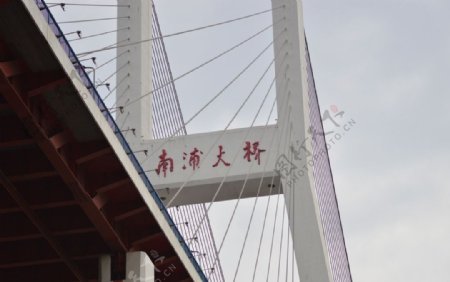 仰视南浦大桥图片