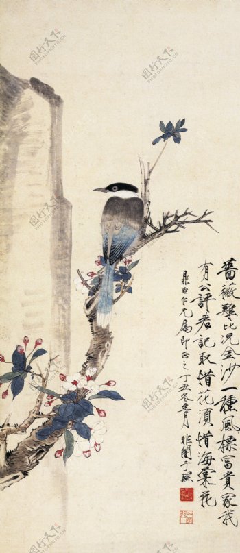 海棠翠鸟图片
