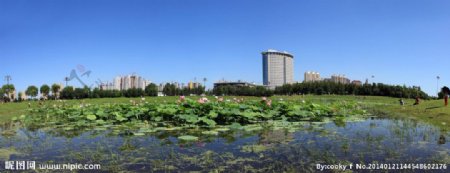 哈尔滨市人工湖图片