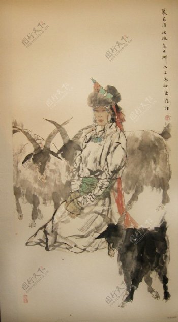 藏族少女牧羊图片