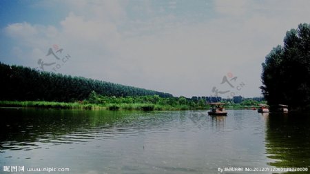 悠然的湿地图片