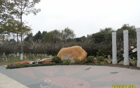 萝岗香雪公园图片