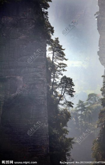 陡峭山峰树剪影图片