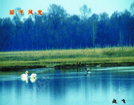 滹沱河美景图片