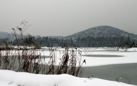 湖畔雪景图片