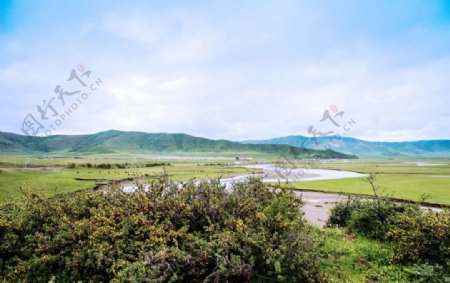 四川阿坝红原图片