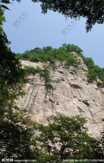 太平国家森林公园图片