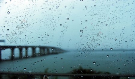 雨中的桥图片