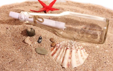 沙滩海洋生物玻璃瓶图片
