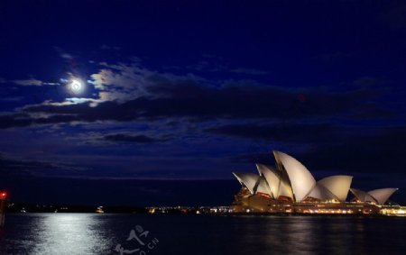 悉尼月夜图片