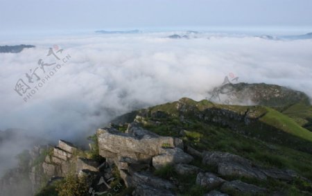 云雾山中图片