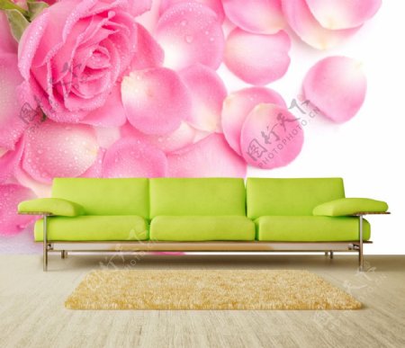 粉色浪漫玫瑰室内背景图片