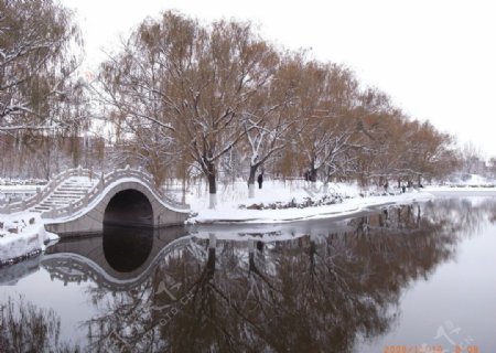 冬之白雪园景图片