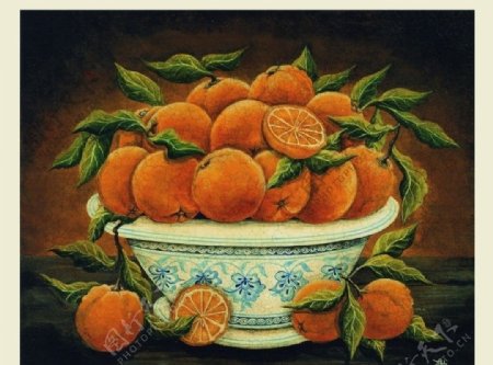 静物柑橘图片