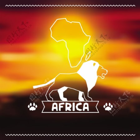 非洲雄狮图片