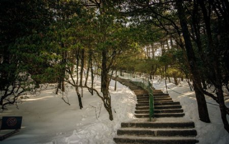 黄山风景图片