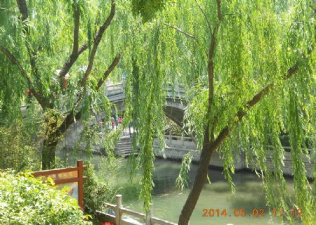 济南护城河的桥图片