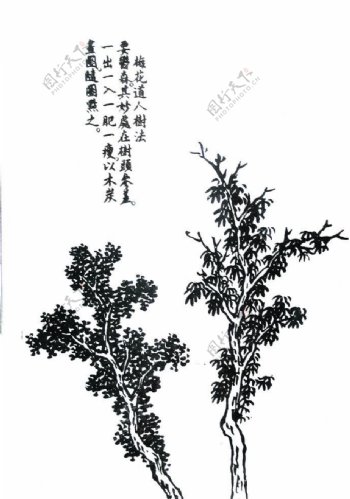 芥子园画谱图片