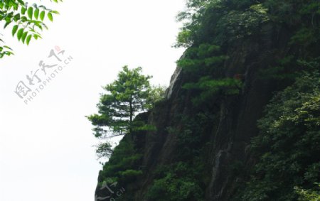 天台山风景图片