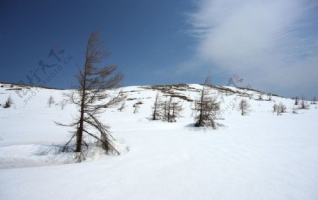 雪山风景图片